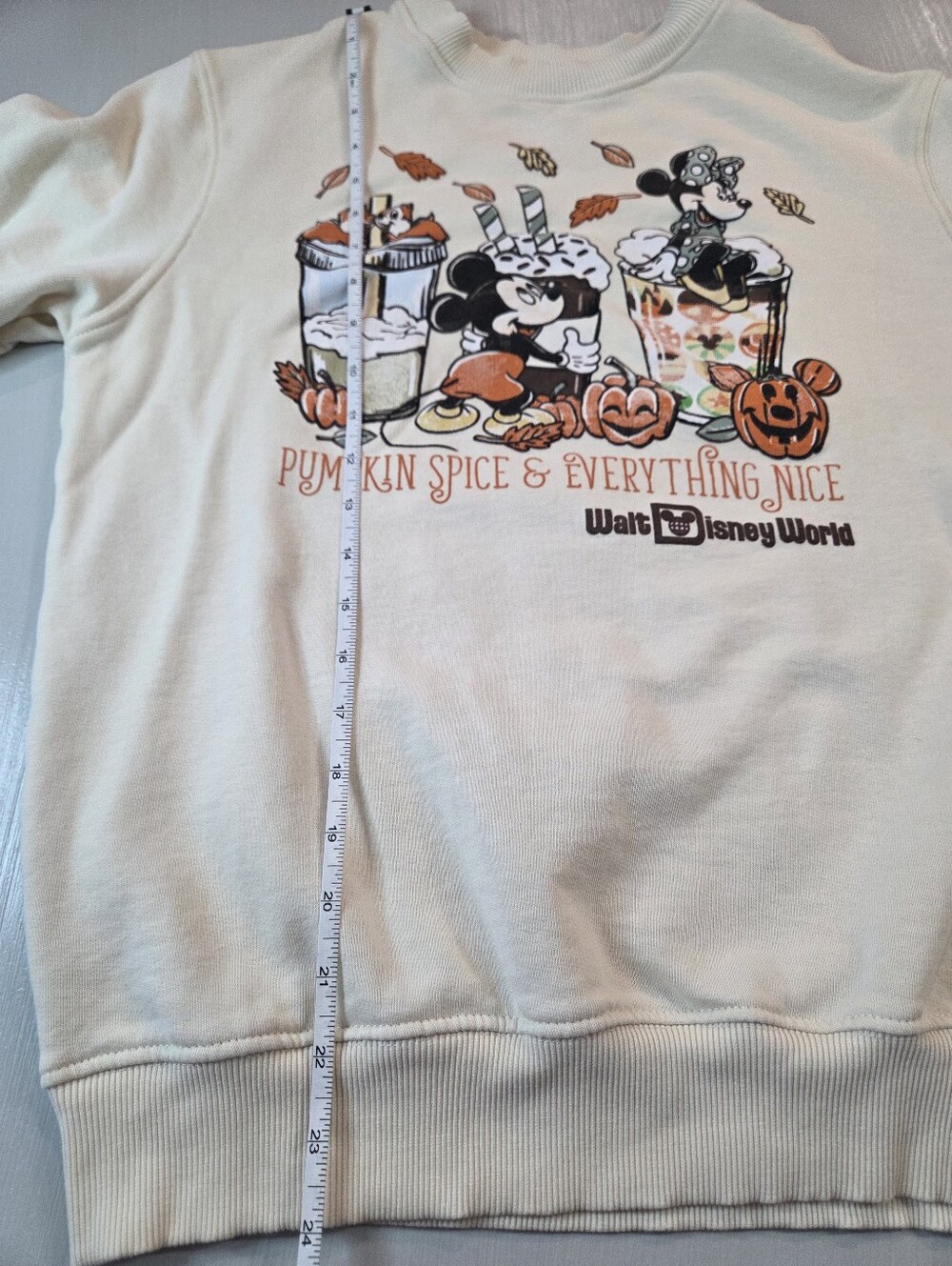 Walt Disney World Pumpkin Spice And Everything Nice Sweater - Picture 8 of 8